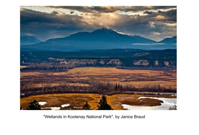 Wetlands in Kootenay National&nbsp;Park