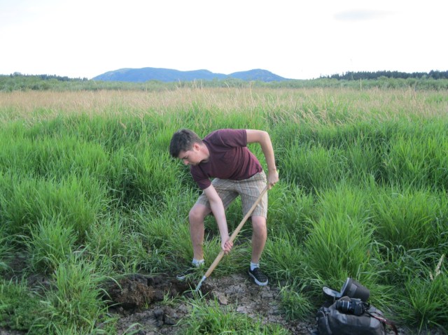 Planning Somenos Marsh: Major Proposal Developed by Wetlands Institute&nbsp;Participant