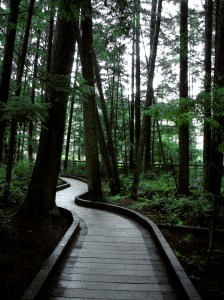 The new touches on the paths look great! Image by Rachel Schott.