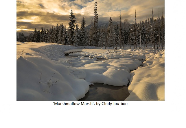 'Marshmallow Marsh' by Flickr Username Cindy-lou-boo