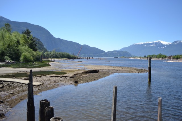 What beautiful day at a beautiful estuary! Photo by Rachel Schott.
