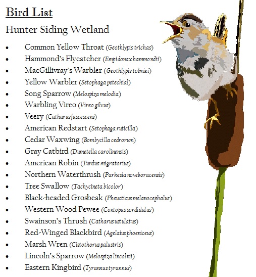 bird list