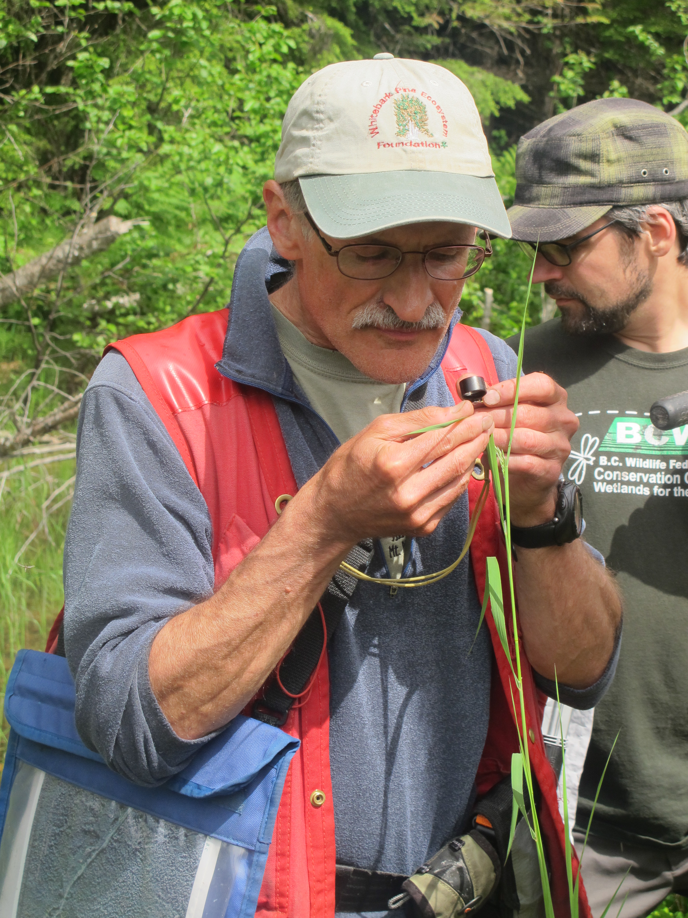 Evan using a hand-lens to identify a grass. Photo by Rachel Schott.