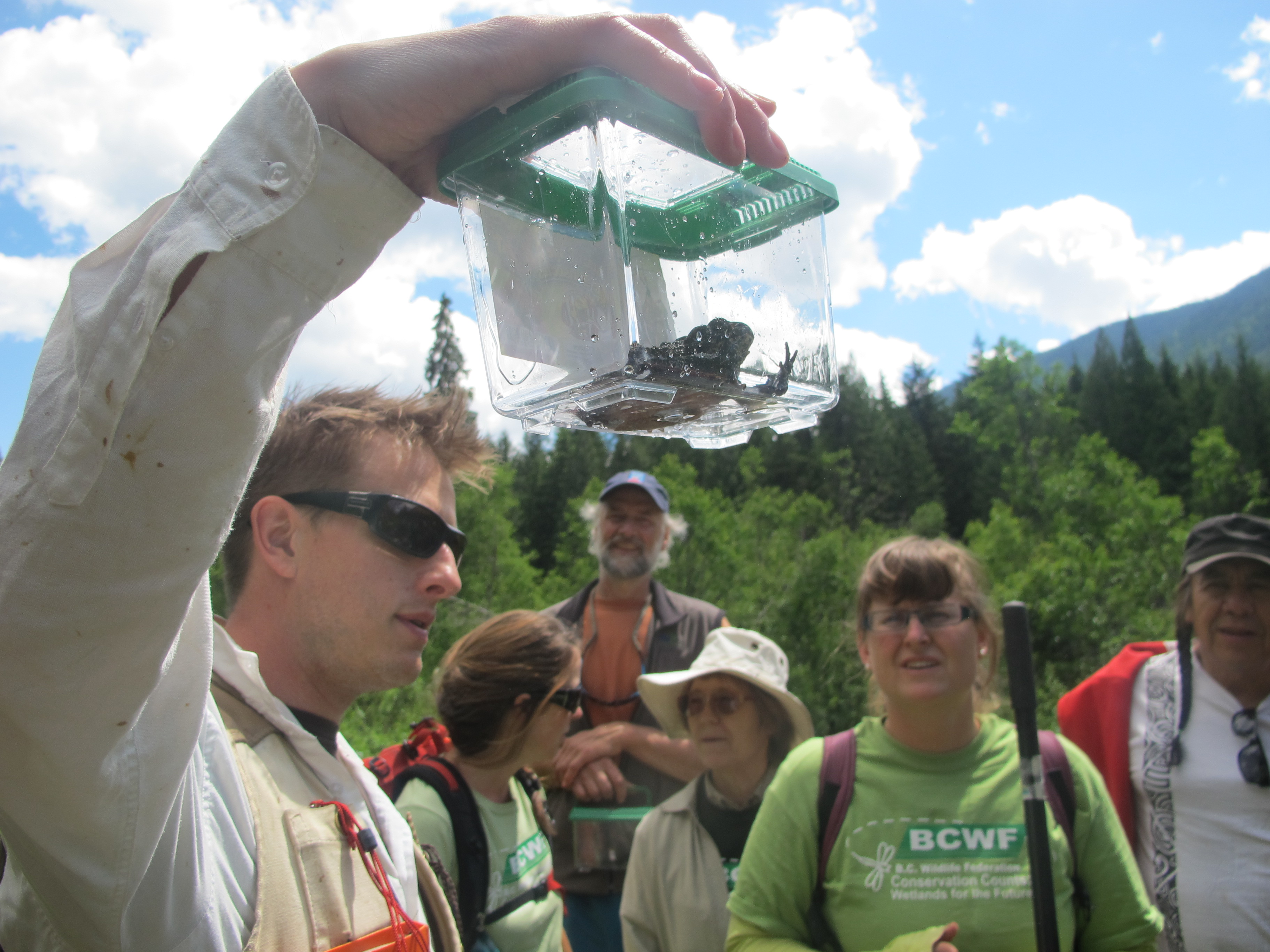 Jakob Dulisse holds up an adult Western Toad.  Photo by Jason Jobin.
