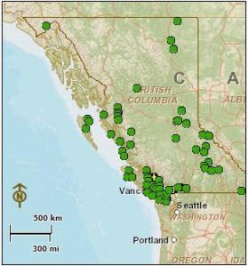 round-leaved sundew distribution in BC