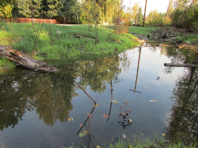 Adding some s’edge’ to Salmo&nbsp;wetland