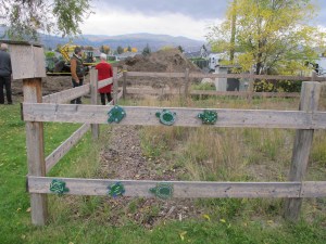This project was started because students at KLO middle school in Kelowna found baby painted turtles in their long jump sand box. This area has now been fenced off and students displayed some interpretative signs.