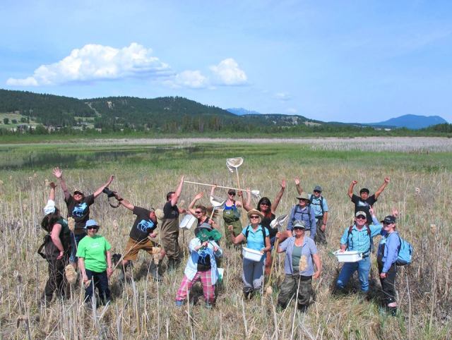 Radium Hot Springs Wetlandkeepers in the Incredible Columbia River&nbsp;Wetlands
