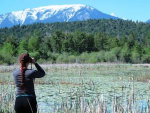 Birding at Radium Mill Pond