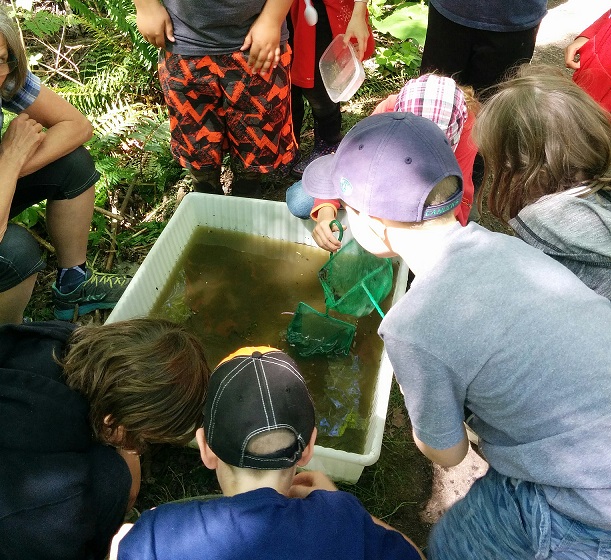 IMG_20160510_135404 - cropped