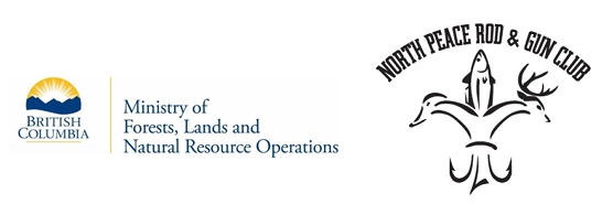 Project Partners.png