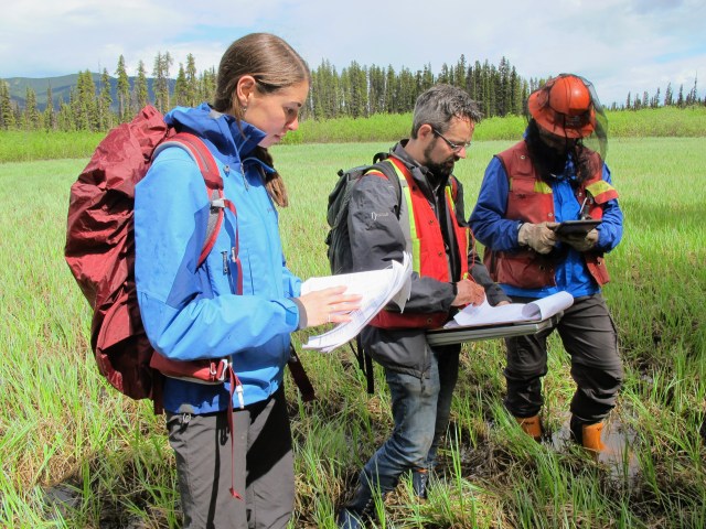 New Hope for Wetlands in BC: FREP Wetland Health&nbsp;Assessment