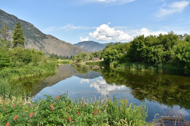 A Whirlwind of Wetlands Part II: Cawston Wetlandkeepers 2019 and Ginty’s&nbsp;Pond